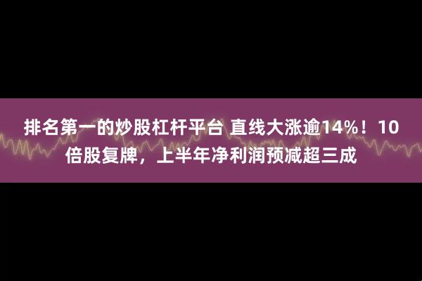 排名第一的炒股杠杆平台 直线大涨逾14%！10倍股复牌，上半年净利润预减超三成