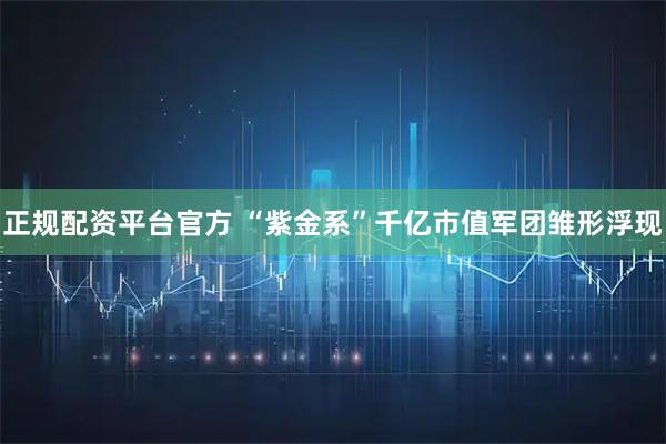 正规配资平台官方 “紫金系”千亿市值军团雏形浮现
