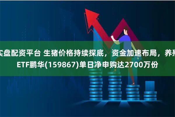 实盘配资平台 生猪价格持续探底，资金加速布局，养殖ETF鹏华(159867)单日净申购达2700万份