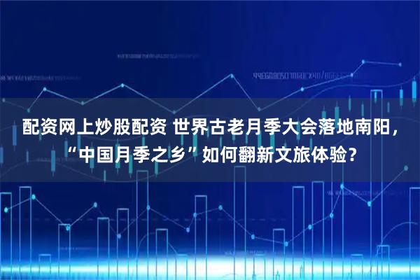 配资网上炒股配资 世界古老月季大会落地南阳，“中国月季之乡”如何翻新文旅体验？