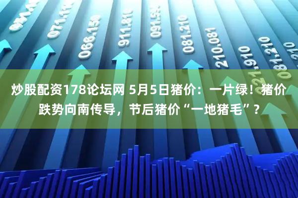 炒股配资178论坛网 5月5日猪价：一片绿！猪价跌势向南传导，节后猪价“一地猪毛”？