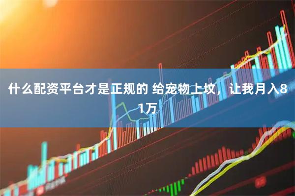 什么配资平台才是正规的 给宠物上坟,让我月入81万